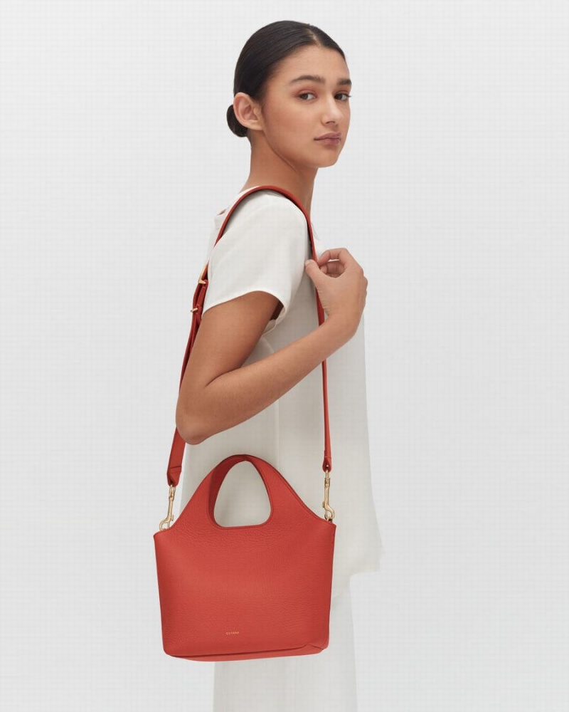 Geanta Tote Cuyana Mini System Dama Corai Inchis | LJO8825ZZ